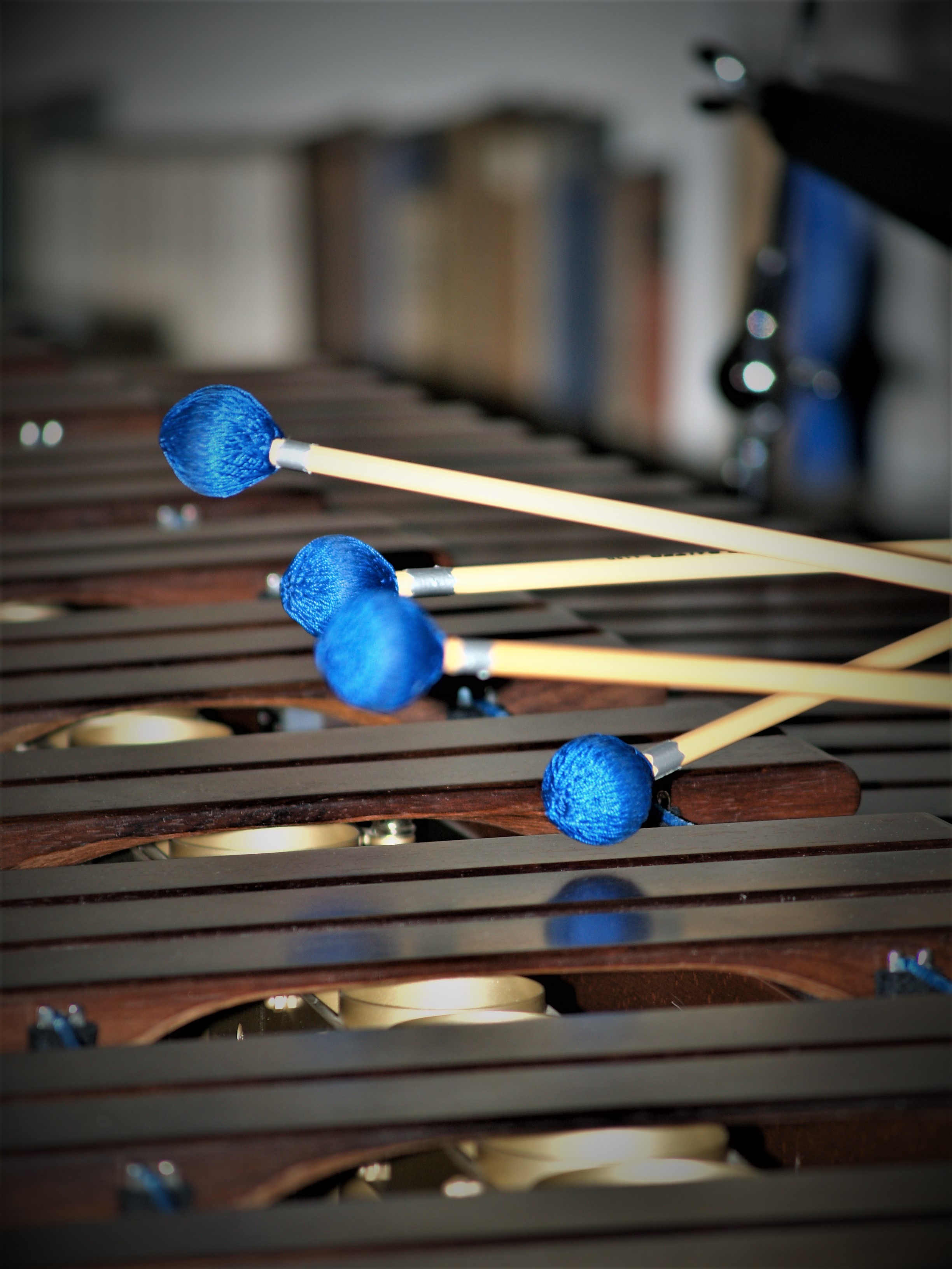 Mallet-Instruments bilden neben Percussionsinstrumenten aller Art das Zentrum der musikalischen Aktivitäten des RhythmusSyndikats: Fliegende Schlägel und die vielfältigen Klangbilder der verschiedenen Instrumente faszinieren immer wieder neu :)